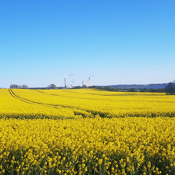 optymalizacja gospodarki energią, technologie energetyczne, technologie ochrony środowiska, zrównoważony rozwój, oczyszczanie wody, oczyszczanie kondensatu, kondensacja spalin